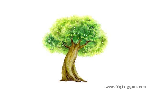 榕树是怎样的？
