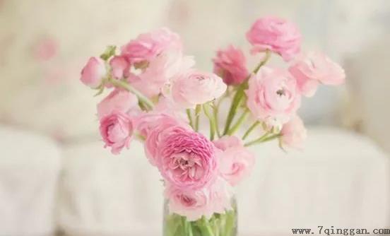 如何让鲜花长开不败