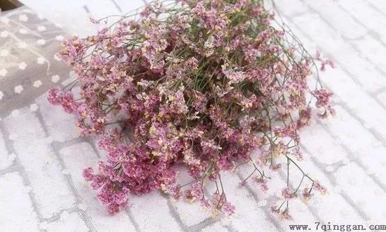 如何让鲜花长开不败 教你科学延长鲜花的保鲜期