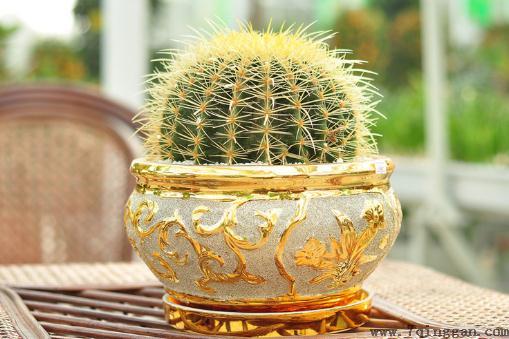 金琥简介