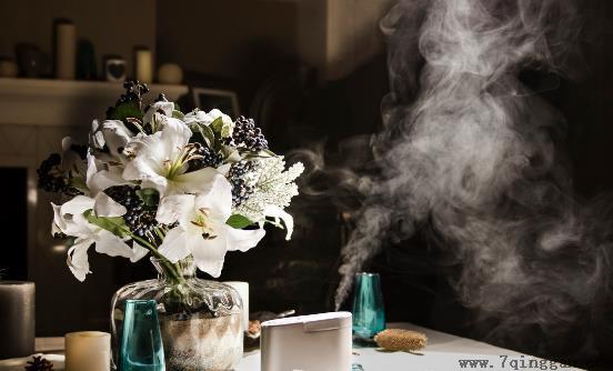 嘴唇易干裂上火怎么办 正确使用加湿器可改善皮肤干燥状况