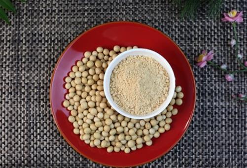 布偶猫吃什么对毛发好 原来这些食物就可以
