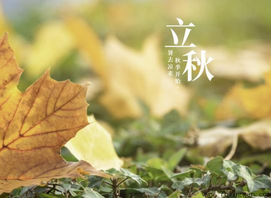 东北立秋后雨水多不多?