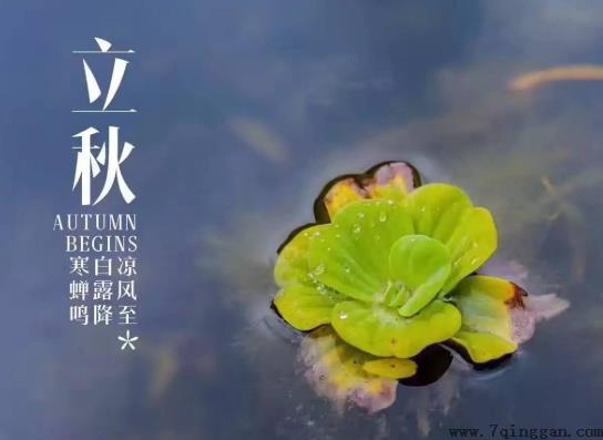 立秋后天气有什么变化？