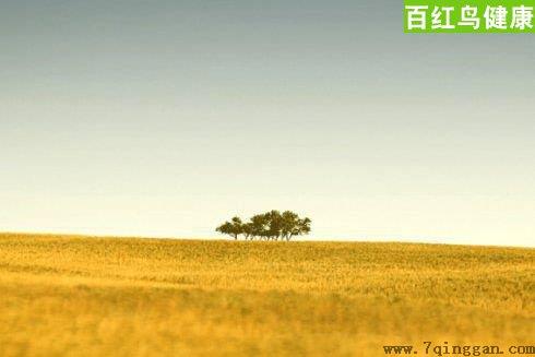 电磁炉的危害