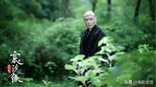 林默是哪部电视剧里的主人翁