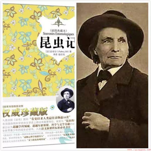 昆虫记作者法布尔被誉为什么称号