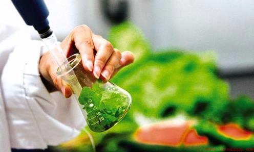 食品安全专业就业前景和就业方向