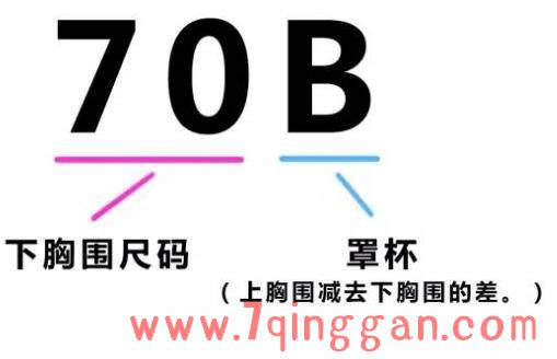 内衣abcd罩杯怎么区分大小