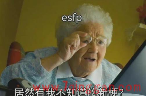 estj是什么人格，estj和什么人格最配