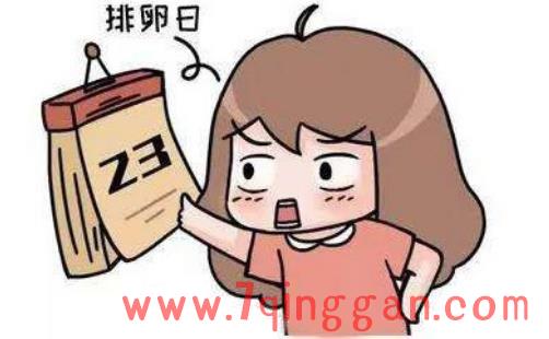 排卵期怎么算才最准确