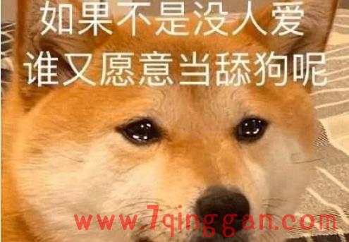 舔狗是什么意思