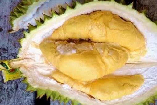 金枕和干尧哪一个好吃