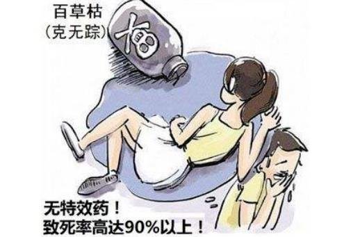嘴巴溅到一滴百草枯会死吗