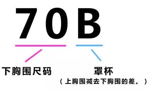 罩杯ABCD怎么分大小？不同罩杯的差别